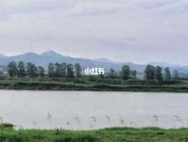长江联合138 安庆同马大堤可以烧烤吗？
