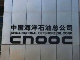 中海油吧？请问中法渤海地质服务有限公司跟中海油的关系，还有待遇问题，谢谢？