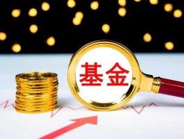 自选基金？买基金自选和金选的区别？