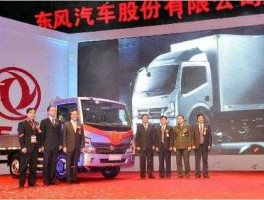 600533股票？东风股份和东风汽车区别？