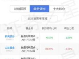 600461洪城水业，小米集团基金有哪些？