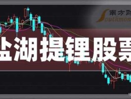 股票002141，盐湖提锂储能方面的股票？