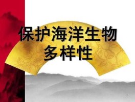 海洋生物多样性，海洋生物的多样性？