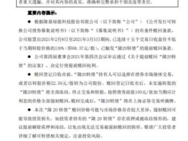 隆基发债 隆20发债是什么？