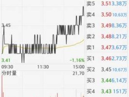 农行股票代码，农行股票前面为什么有个N？