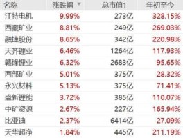 江特电机吧，锂矿上游指的是什么？