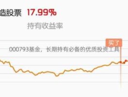 000793 基金000793发行价格是多少？