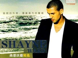 尚恩？尚恩沃德最好听十首歌？