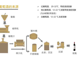 葡萄酒的制作方法（葡萄酒的制作比例？）