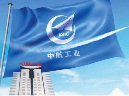 中航动控股票（133厂现在叫什么？）