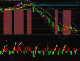 ddx指标 ddx什么意思网络语？