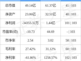 000711股票，如何看待京蓝科技？