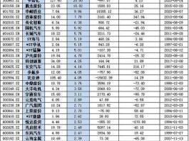 民营概念股（股票中新能源概念股有哪些？）