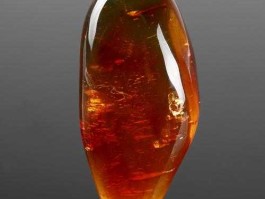 红色收藏，红蓝珀有收藏价值吗？