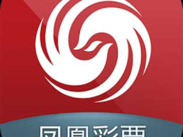 凤凰资本，凤凰影视（深圳）有限公司介绍？