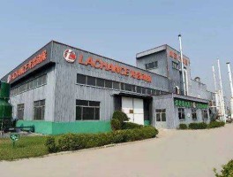 石油龙昌 甘肃有什么大型企业？