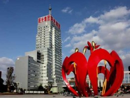 600220江苏阳光，江苏阳光600220怎么样？