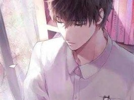 中国高干子女沉浮录，张青云传奇小说？