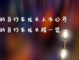 自行车概念股，两轮电动车龙头股一览？