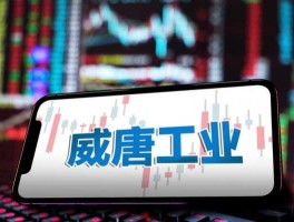 威唐工业 威唐工业在行业中的地位？