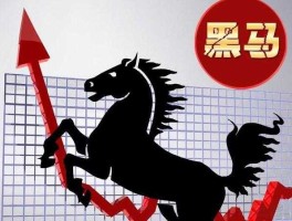 黑马股 黑马股什么意思？