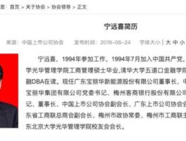 宝新能源股票 宝丽华集团董事长是谁？