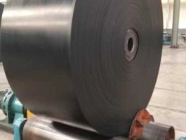 st聚酯（皮带st2000指的是什么？）