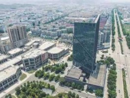 丽水上市公司（丽水发达吗？）