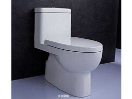瑞琦，瑞琦马桶冲力不够？