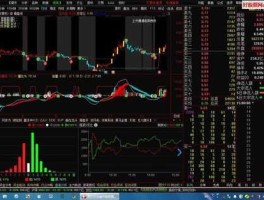 通达信金融终端，通达信软件通达信息金融终端普及版有用过的朋友没右效果怎样请告诉我谢？
