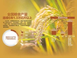 565亿（2020全国粮食总产量达到多少万吨？）