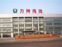 天津力神（t天津力神电池公司怎么样啊？）