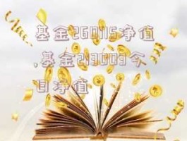 基金213003，213003是哪公司基金？