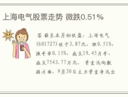 股票600517？上海岁福电气有限公司介绍？