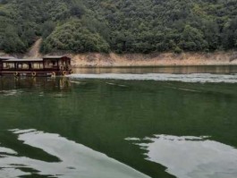 云河水电，仙宫湖蓄水量？