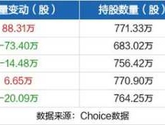 东软集团股票？东软集团全称？