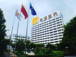 200028？国药集团和华润医药哪个实力大？