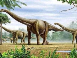 龙大肉食，什么肉食动物比阿根廷龙的 大 比阿根廷龙大？