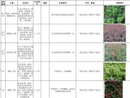 苗木行情（树苗要多少钱一棵？）