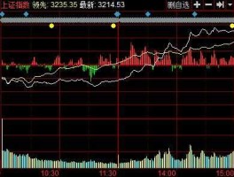 000676股票？小盘股有哪些股票？