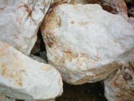 硅石吧（什么是硅石？）