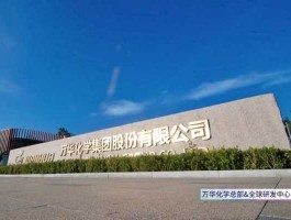 滨化股份？万华化学和滨化股份的区别？