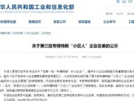专精特新小巨人上市名单？国家专精特新企业数量排名？