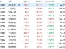 300115股票（氢能源概念股？）