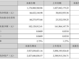 佛塑科技 佛塑科技评分？