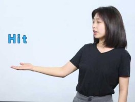 hit，a hit是什么意思？