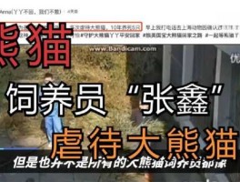 张鑫？张鑫熊猫饲养员是哪里人？