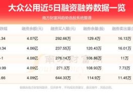 上海大众公用（公用账户是什么意思？）