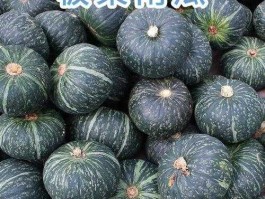 板栗价格？2022板栗南瓜收购行情？