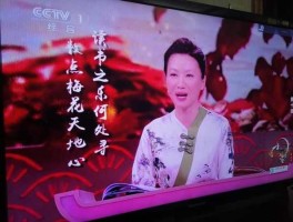 杨雨教授（中国诗词大会特邀教授介绍？）